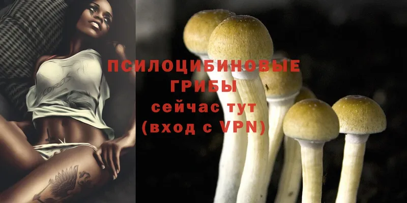 Псилоцибиновые грибы Magic Shrooms  Энем 